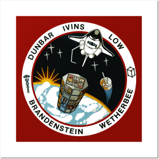 NASA STS-32 Columbia Mission Patch Posters and Art